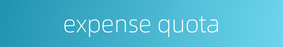 expense quota的同义词