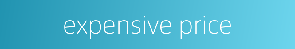 expensive price的同义词