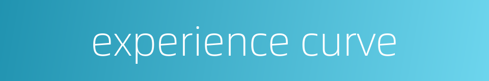 experience curve的同义词