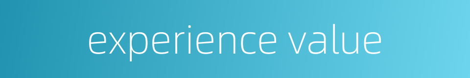 experience value的同义词