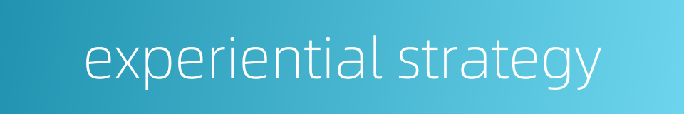 experiential strategy的同义词