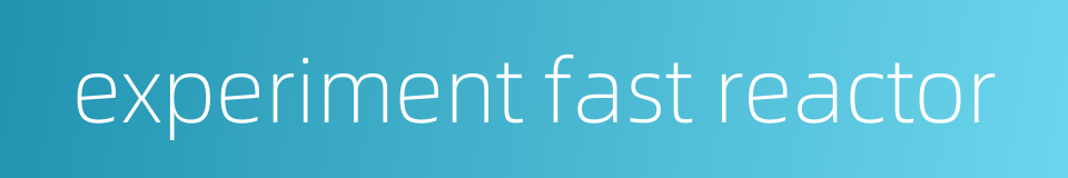 experiment fast reactor的同义词