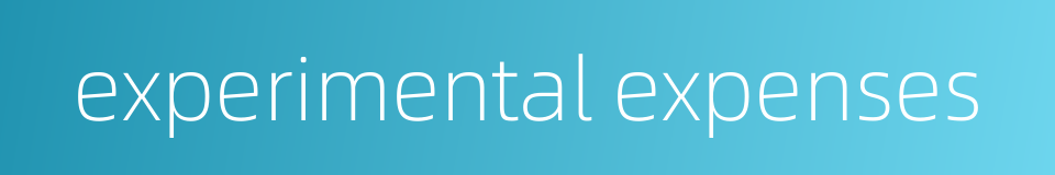 experimental expenses的同义词