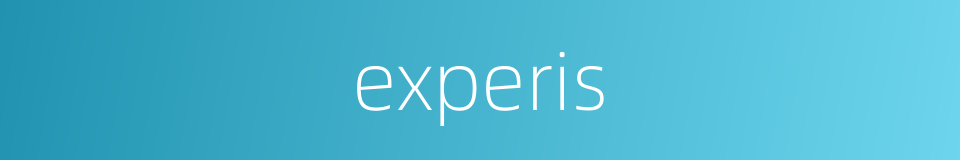 experis的同义词