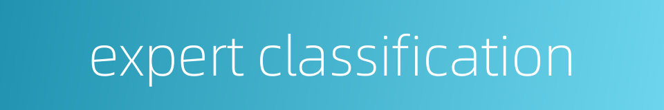 expert classification的同义词