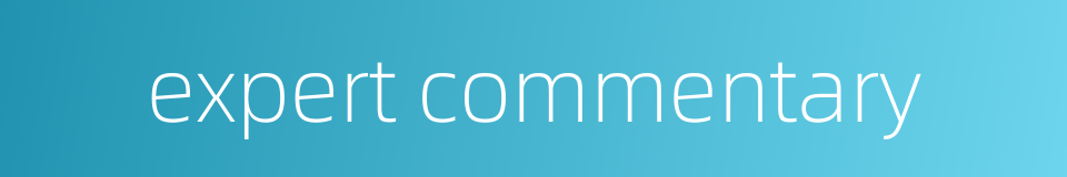 expert commentary的同义词