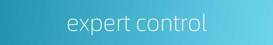 expert control的同义词