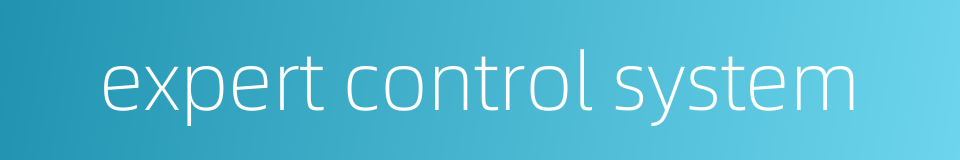 expert control system的同义词