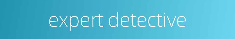 expert detective的同义词