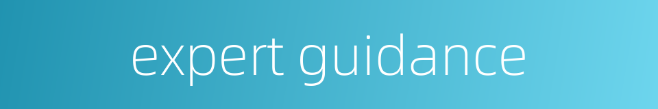 expert guidance的同义词