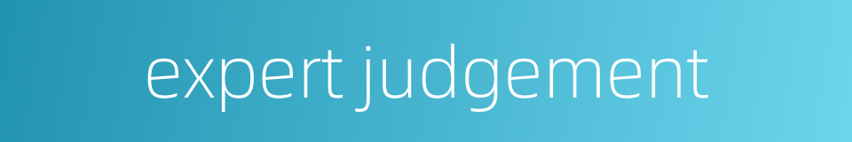 expert judgement的同义词