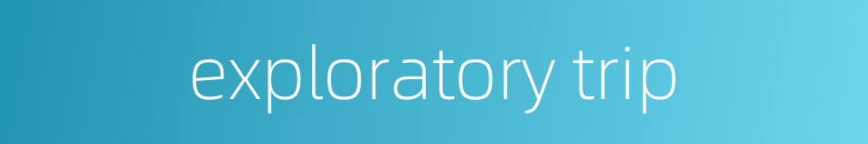 exploratory trip的同义词