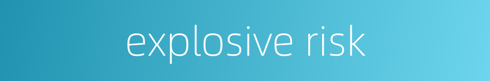 explosive risk的同义词