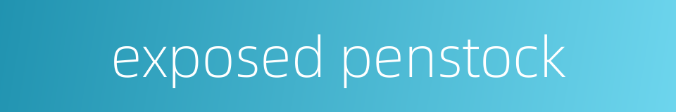 exposed penstock的同义词