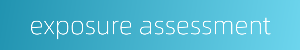 exposure assessment的同义词