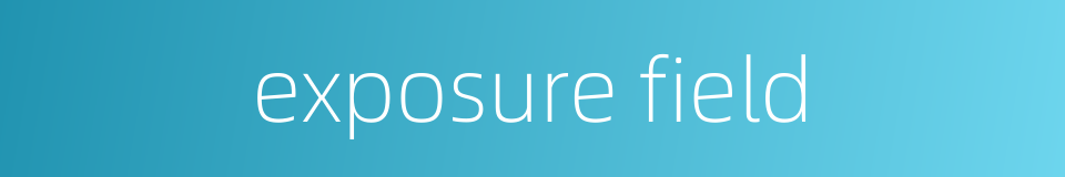 exposure field的同义词