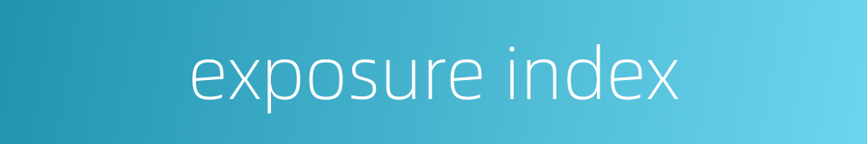 exposure index的同义词
