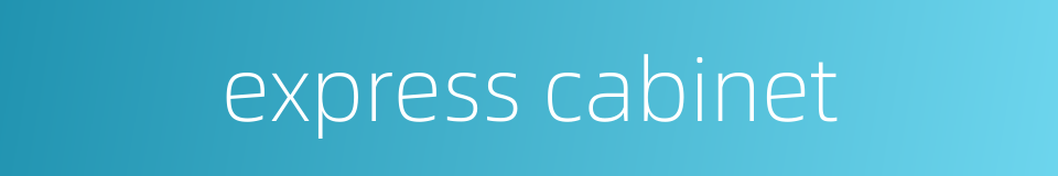 express cabinet的同义词