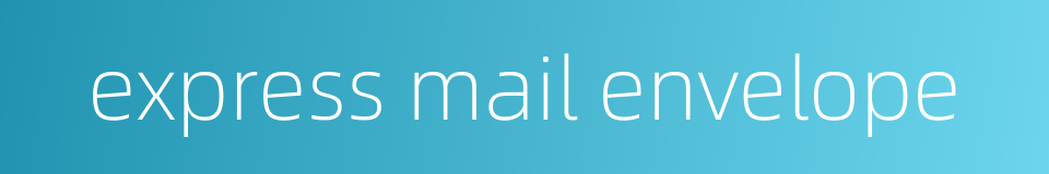 express mail envelope的同义词