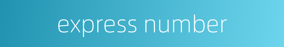 express number的同义词