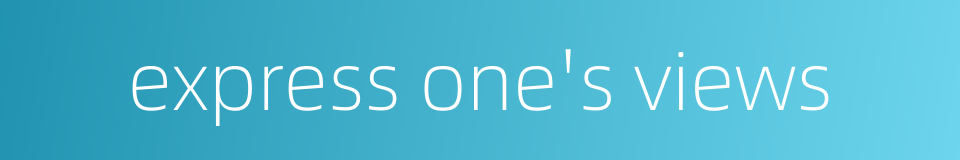 express one's views的同义词