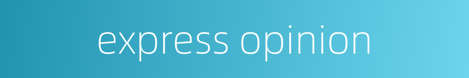 express opinion的同义词