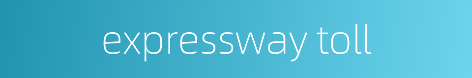 expressway toll的同义词