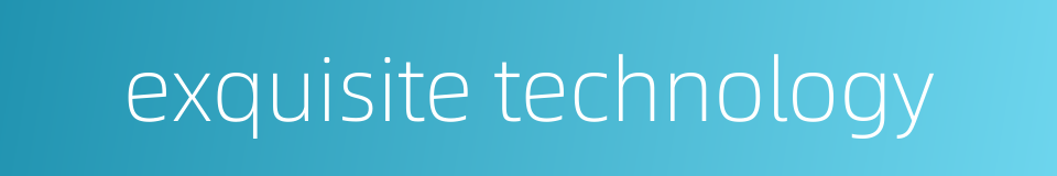 exquisite technology的同义词