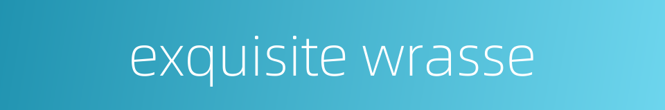 exquisite wrasse的同义词