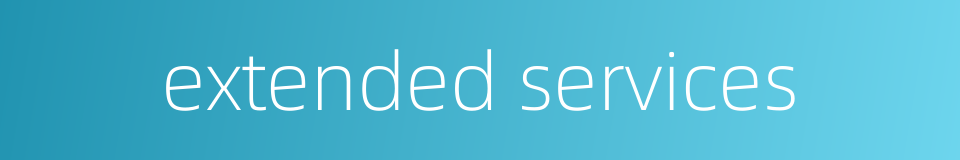 extended services的同义词