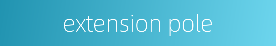 extension pole的同义词