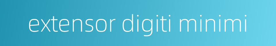 extensor digiti minimi的同义词