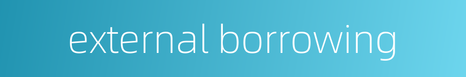 external borrowing的同义词