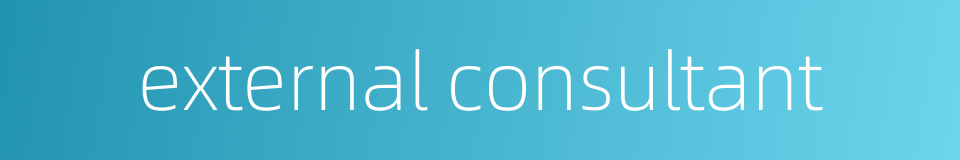 external consultant的同义词