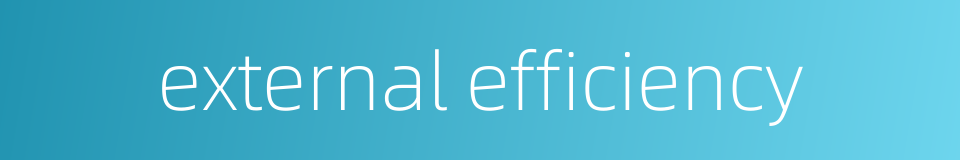 external efficiency的同义词
