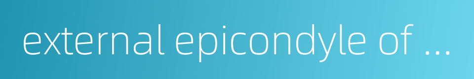 external epicondyle of humerus的同义词