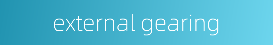 external gearing的同义词