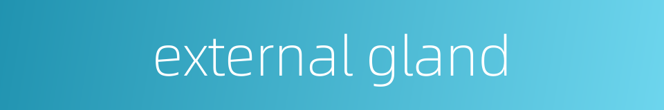external gland的同义词