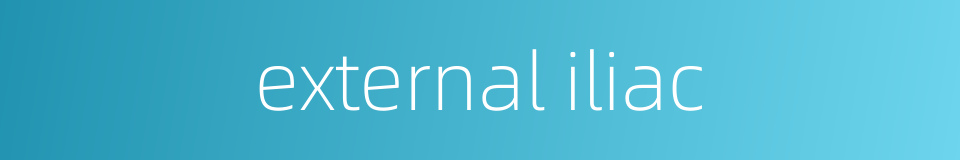 external iliac的同义词