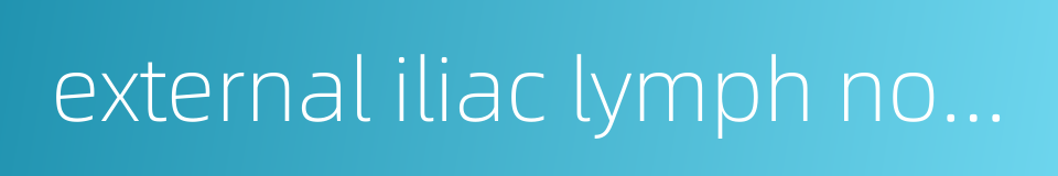 external iliac lymph nodes的同义词