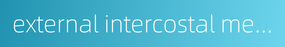 external intercostal membrane的同义词