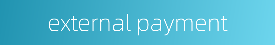 external payment的同义词