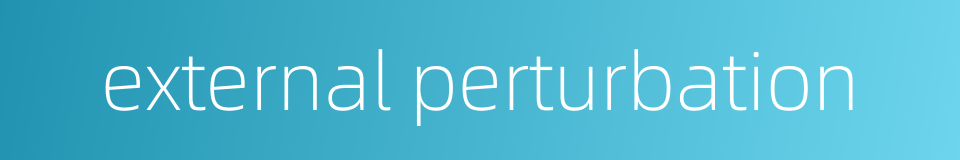 external perturbation的同义词