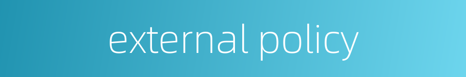 external policy的同义词