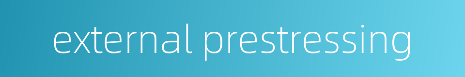 external prestressing的同义词