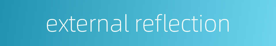 external reflection的同义词