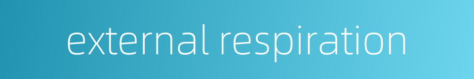 external respiration的同义词