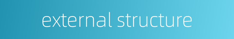 external structure的同义词