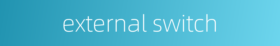 external switch的同义词