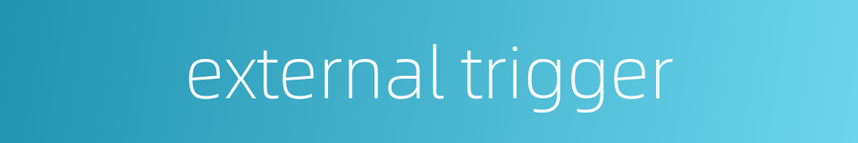 external trigger的同义词